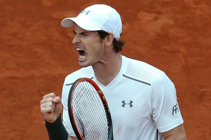 ___5075762___https:______static.pulse.com.gh___webservice___escenic___binary___5075762___2016___5___25___21___andy-murray-cropped_10cxzonpzuofs13cijvzntquy3
