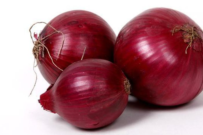 Onion