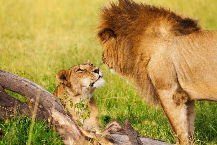 9 guys share the surprising things they learned about their wives after getting married