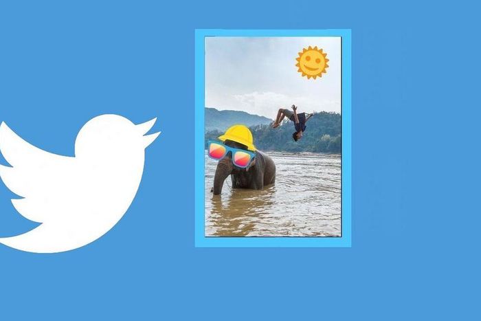 Colored glasses, smiling sun, bottle of champagne, palm trees, you name it...there is everything.