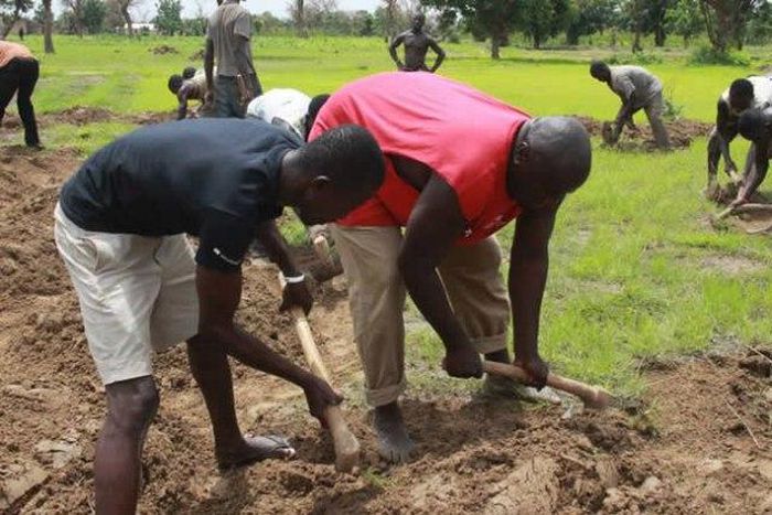 ___5426013___https:______static.pulse.com.gh___webservice___escenic___binary___5426013___2016___8___27___12___1686071367623_9882244019562