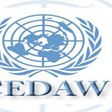 The Committee is mandated to monitor the progress made by women member States of the 1979 Convention on the Elimination of All Forms of Discrimination against Women.