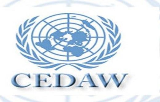 The Committee is mandated to monitor the progress made by women member States of the 1979 Convention on the Elimination of All Forms of Discrimination against Women.