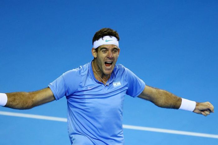 ___5500998___https:______static.pulse.com.gh___webservice___escenic___binary___5500998___2016___9___17___12___delpotro-cropped_1v5n8du6t49zc15pt4lng6eaog