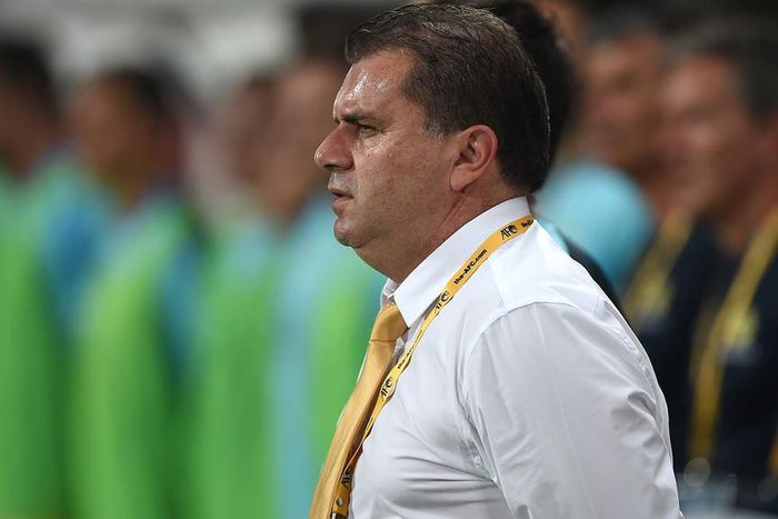 ___5571706___https:______static.pulse.com.gh___webservice___escenic___binary___5571706___2016___10___6___10___angepostecoglou-cropped_u9zi723a33qw1bbekcj7z21i4_2