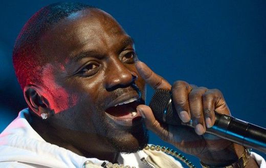 Senegalese-American rapper Akon, pictured in June 2015, is looking to invest in solar power projects across Africa and plans to launch a mini-grid solar project when possible