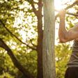 3 move workout for a bigger stronger back