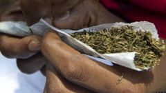 ___6349697___https:______static.pulse.com.gh___webservice___escenic___binary___6349697___2017___3___10___13___weed_1