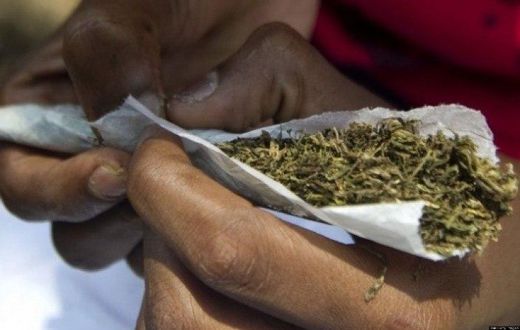 ___6349697___https:______static.pulse.com.gh___webservice___escenic___binary___6349697___2017___3___10___13___weed_1