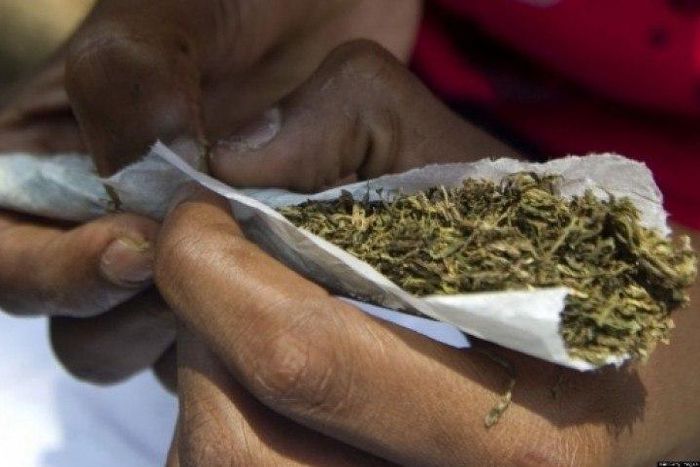 ___6349697___https:______static.pulse.com.gh___webservice___escenic___binary___6349697___2017___3___10___13___weed_1