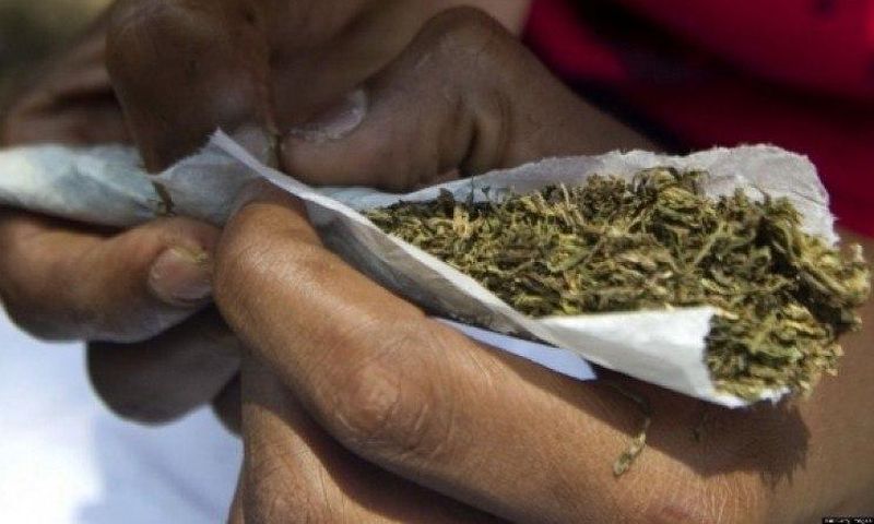 ___6349697___https:______static.pulse.com.gh___webservice___escenic___binary___6349697___2017___3___10___13___weed_1