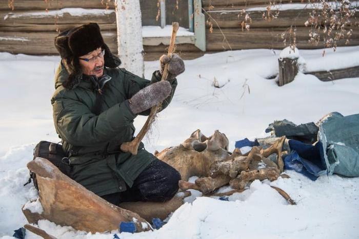 Prokopy Nogovitsyn shows part of a mammoth skeleton in the backyard of his house in a village in the northern Siberian region of Yakutia