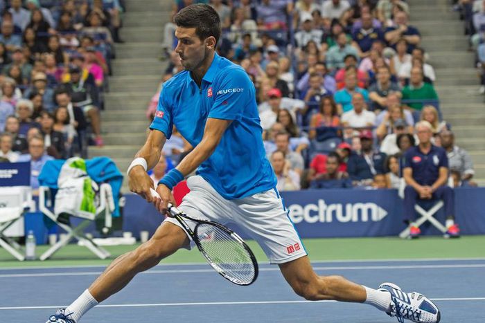 ___5455599___https:______static.pulse.com.gh___webservice___escenic___binary___5455599___2016___9___5___13___novakdjokovic-cropped_qxoo2u3qj6pf1a7745nbh98wj_2