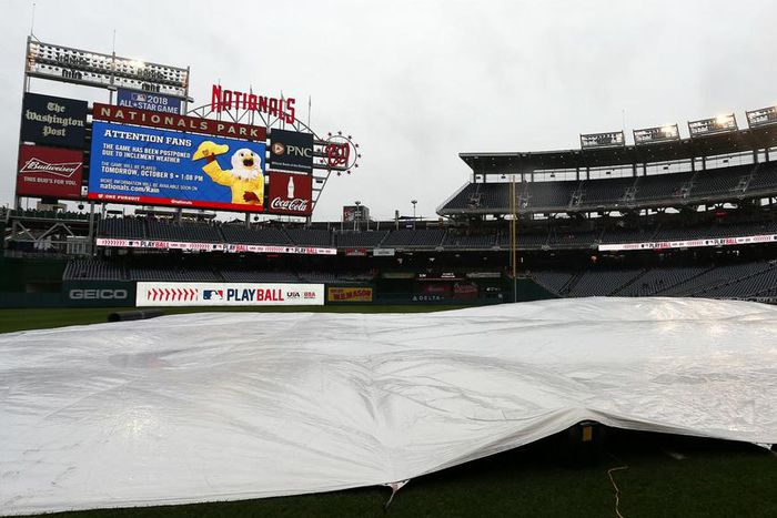 ___5583114___https:______static.pulse.com.gh___webservice___escenic___binary___5583114___2016___10___9___6___nationalspark-cropped_1u2pjnwgxjmhg1wxrl9ee0yxda