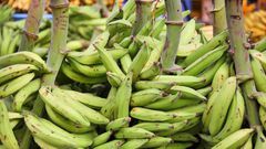 Plantain not being imported, Government of Ghana says