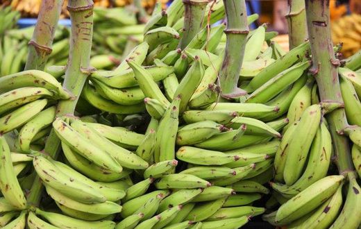 Plantain not being imported, Government of Ghana says