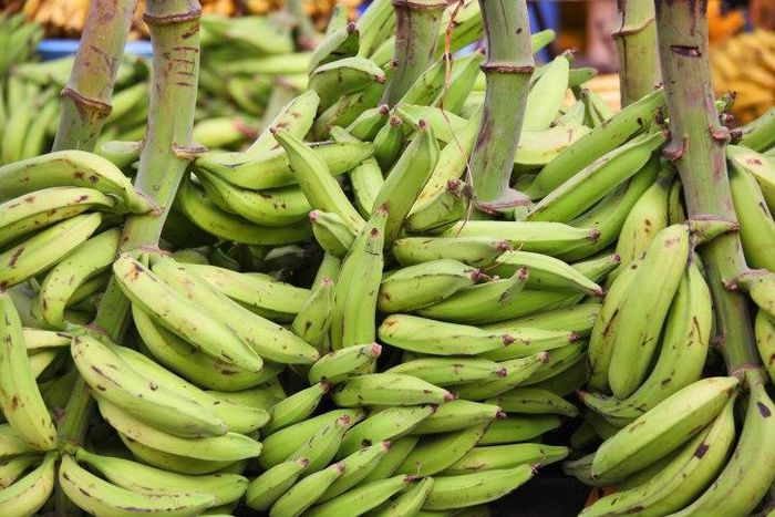 Plantain not being imported, Government of Ghana says