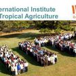 IITA is involved in research for development of tropical cash and food crops and has over the years explored possibilities of exploring the Ghanaian market.