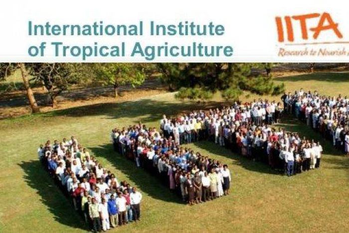 IITA is involved in research for development of tropical cash and food crops and has over the years explored possibilities of exploring the Ghanaian market.