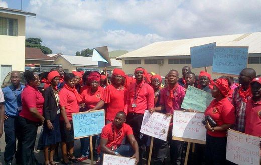ECG workers on protest over the sale of the company last month.