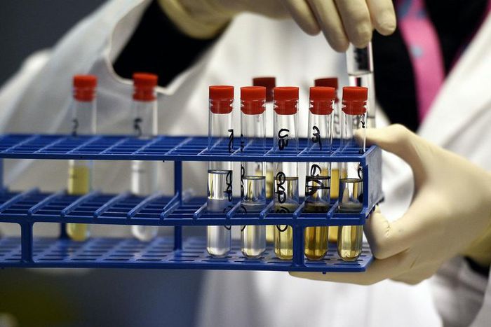 ___4884856___https:______static.pulse.com.gh___webservice___escenic___binary___4884856___2016___8___16___2___antidoping-cropped_1tjrn2rgbtzv01qxhr6p4aejm3_1