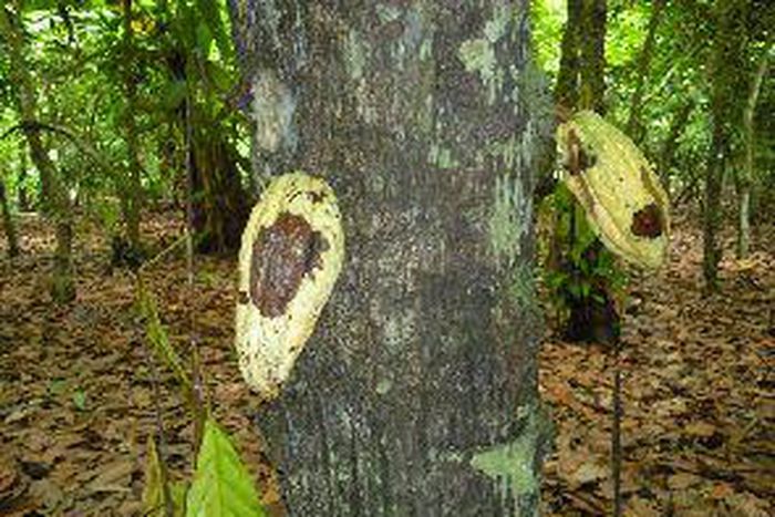 ___6811399___https:______static.pulse.com.gh___webservice___escenic___binary___6811399___2017___6___9___15___95085366.295