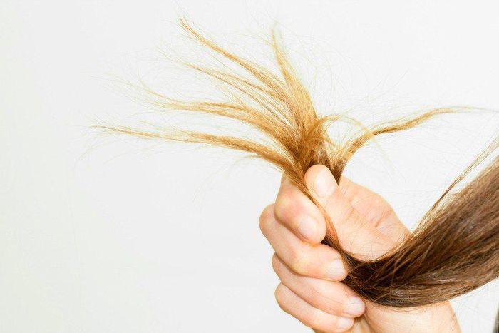 fine hair problems oily roots dry ends