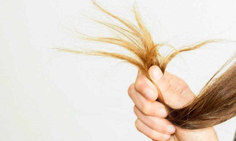 fine hair problems oily roots dry ends