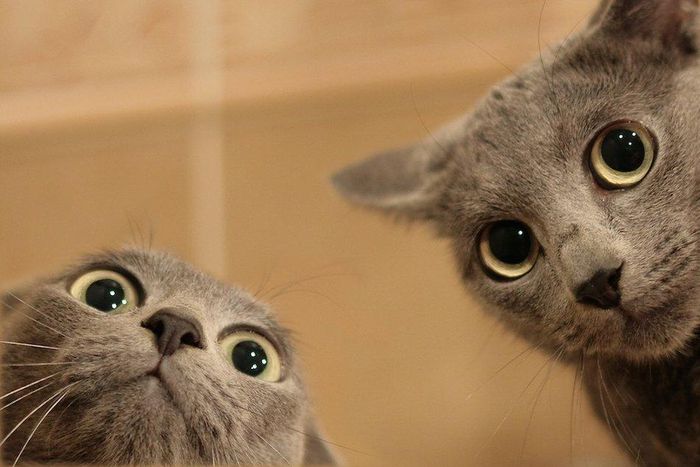 'We haven’t had sex in a while. Is that a problem?’