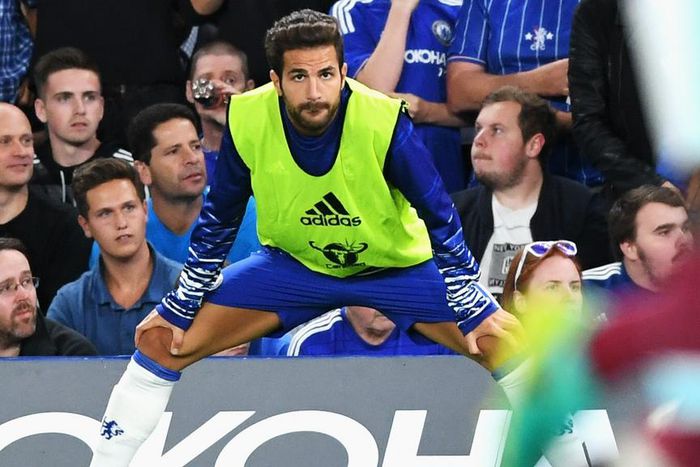 ___5386919___https:______static.pulse.com.gh___webservice___escenic___binary___5386919___2016___8___17___6___cescfabregas-cropped_1hcjz89ui8p2q1jksuirs308ml