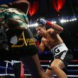 Gennady Golovkin knocks down Daniel Jacobs in the fourth round during their Championship fight for Golovkin's WBA/WBC/IBF middleweight title, at Madison Square Garden in New York, on March 18, 2017