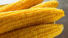 ___6814866___https:______static.pulse.com.gh___webservice___escenic___binary___6814866___2017___6___10___12___Everything-You-Need-To-Know-About-Corn7
