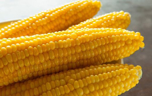 ___6814866___https:______static.pulse.com.gh___webservice___escenic___binary___6814866___2017___6___10___12___Everything-You-Need-To-Know-About-Corn7