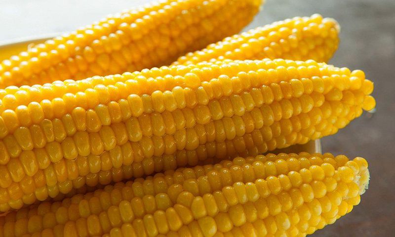 ___6814866___https:______static.pulse.com.gh___webservice___escenic___binary___6814866___2017___6___10___12___Everything-You-Need-To-Know-About-Corn7
