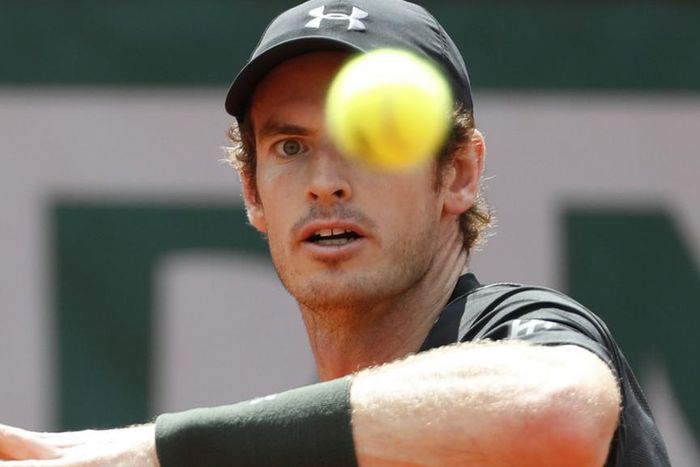 ___5090583___https:______static.pulse.com.gh___webservice___escenic___binary___5090583___2016___5___30___18___andy-murray-cropped_1p46b7o4playo1q9y28v2nyx5l