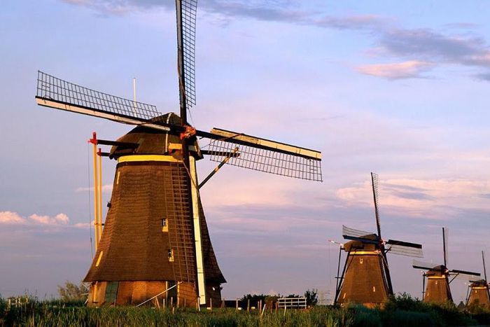 ___6101787___https:______static.pulse.com.gh___webservice___escenic___binary___6101787___2017___1___23___15___file6tce5to8zci1cl5kf2sx