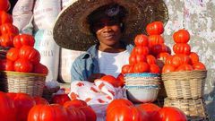 ___5373127___https:______static.pulse.com.gh___webservice___escenic___binary___5373127___2016___8___12___16___Tomato-Pix