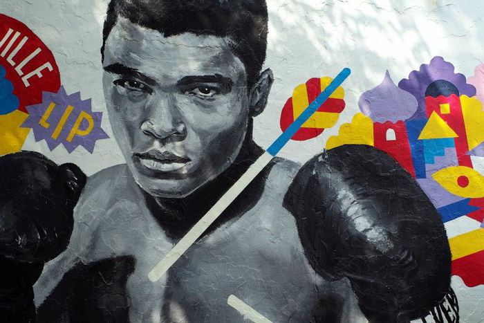 ___5113622___https:______static.pulse.com.gh___webservice___escenic___binary___5113622___2016___6___5___10___muhammadali-cropped_1gdsfgvhyq02x1bkxsgc20zm6q_2