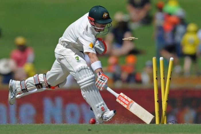 Australia's David Warner is run out, one of many wickets that sealed the side's fate against South Africa