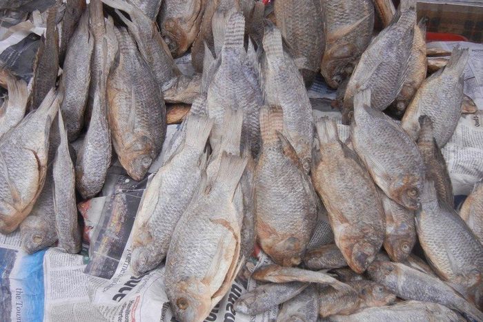 ___6291281___https:______static.pulse.com.gh___webservice___escenic___binary___6291281___2017___2___27___18___Koobi