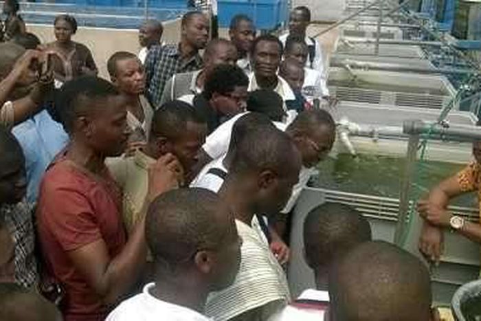 ___5229542___https:______static.pulse.com.gh___webservice___escenic___binary___5229542___2016___7___5___16___397126861-234060