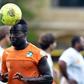 Ivory Coast's Cheick Tiote, pictured in 2014, was capped 52-times and played in teh 2010 and 2014 World Cup