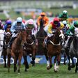 Minella Rocco (L, jockey with white cap) finished second in Friday's Cheltenham Gold Cup behind Sizing John