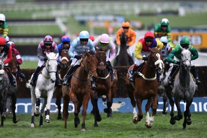 Minella Rocco (L, jockey with white cap) finished second in Friday's Cheltenham Gold Cup behind Sizing John