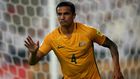 ___5692911___https:______static.pulse.com.gh___webservice___escenic___binary___5692911___2016___11___2___10___timcahill-cropped_ufay5ft1g4y1hnn96qvnuou4_1