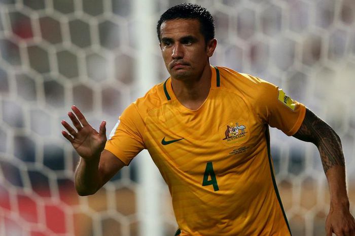 ___5692911___https:______static.pulse.com.gh___webservice___escenic___binary___5692911___2016___11___2___10___timcahill-cropped_ufay5ft1g4y1hnn96qvnuou4_1