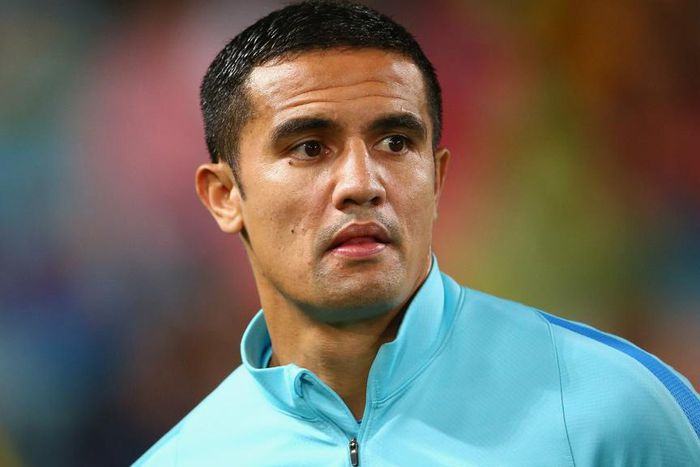 ___5327997___https:______static.pulse.com.gh___webservice___escenic___binary___5327997___2016___8___1___15___timcahill-cropped_15xs3h6407rtq1dh6ax7mxm298_2