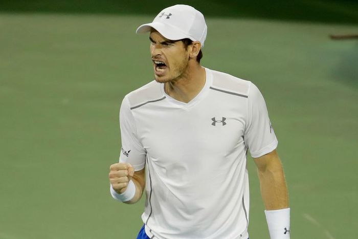 ___5395885___https:______static.pulse.com.gh___webservice___escenic___binary___5395885___2016___8___19___13___andymurray-cropped_dxfnqfhp0bl610laeeoo6mpt4_2