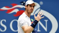 ___5452923___https:______static.pulse.com.gh___webservice___escenic___binary___5452923___2016___9___4___11___andymurray-cropped_176nawkhbecew1id3kjz5dmjp5