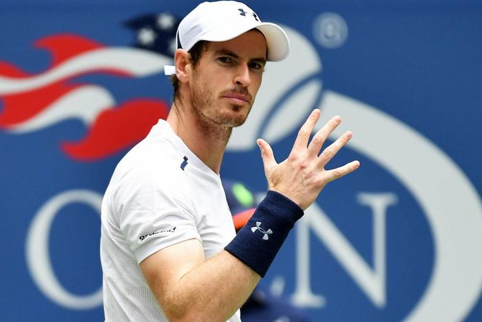 ___5452923___https:______static.pulse.com.gh___webservice___escenic___binary___5452923___2016___9___4___11___andymurray-cropped_176nawkhbecew1id3kjz5dmjp5